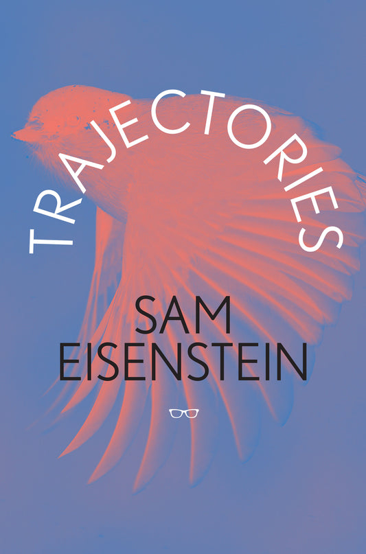 TEACHER, POET AND WRITER SAM EISENSTEIN HAS DIED