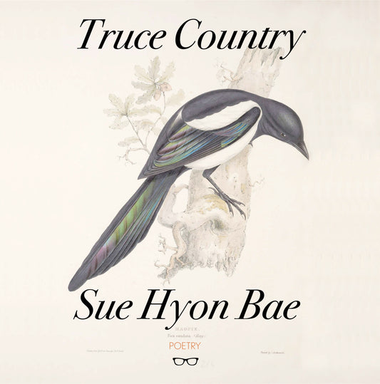 SUE HYON BAE HAS POEM OF THE WEEK IN TELEGRAPH TODAY!