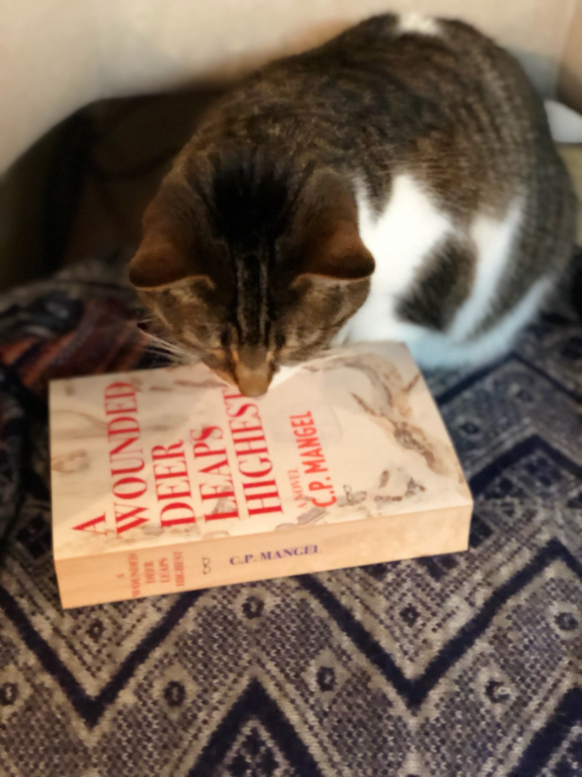 
          
            A WOUNDED DEER LEAPS HIGHEST WINS THE GENERAL FICTION HOFFER AWARD!
          
        