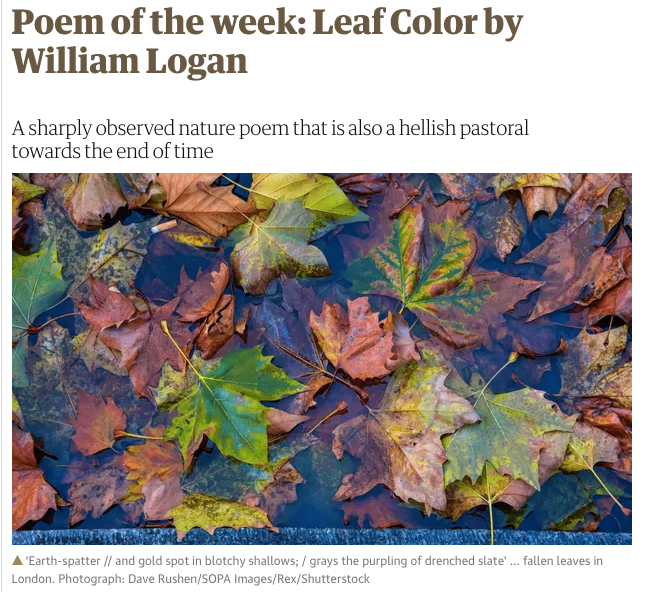 'Leaf Colour' by William Logan - The Guardian's Poem of The Week (9th August)