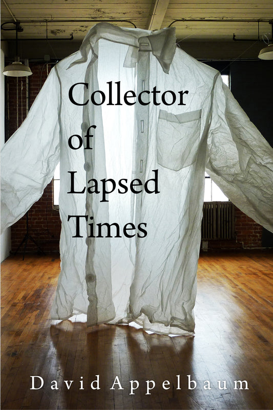 Collector Of Lapsed Times